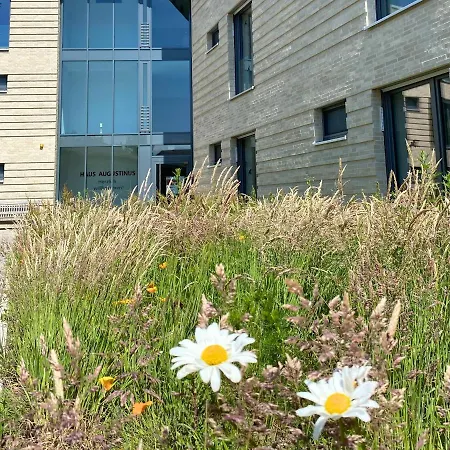 Haus Augustinus * Munster (North Rhine-Westphalia)