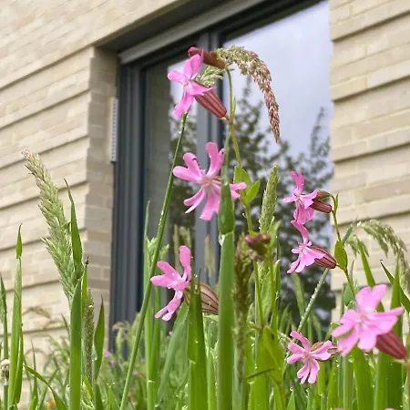 Haus Augustinus * Munster (North Rhine-Westphalia)