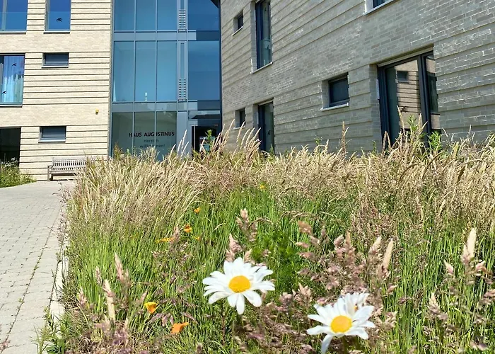 Haus Augustinus * Munster (North Rhine-Westphalia)