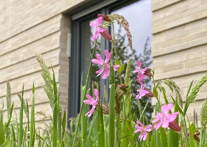 Haus Augustinus * Munster (North Rhine-Westphalia)